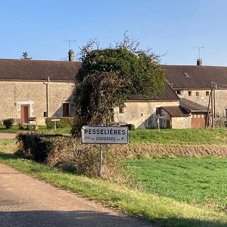 Longere Campagne 10 Pers. Proche Guedelon Villa Sougeres-en-Puisaye Exteriör bild