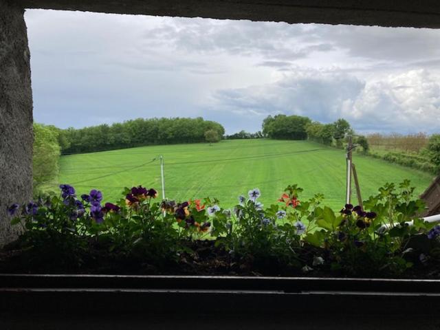 Longere Campagne 10 Pers. Proche Guedelon Villa Sougeres-en-Puisaye Exteriör bild